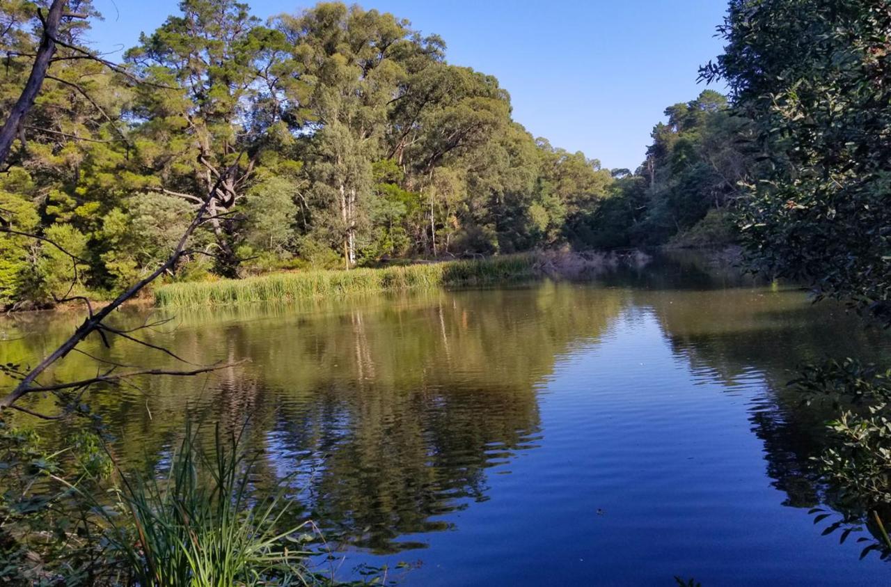 Ferny Hill Retreat, Emerald Victoria Екстер'єр фото