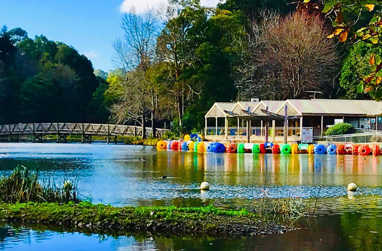 Ferny Hill Retreat, Emerald Victoria Екстер'єр фото
